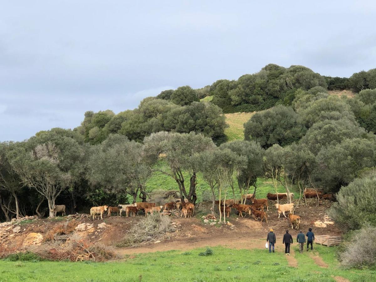Casa Rural Bini Aumaia エス・メルカダル エクステリア 写真