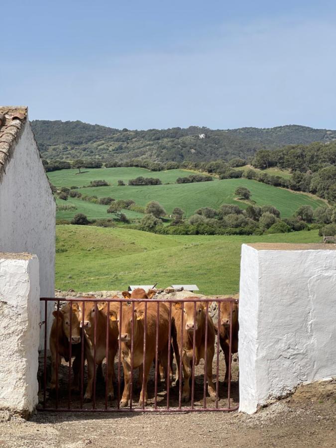 Casa Rural Bini Aumaia エス・メルカダル エクステリア 写真